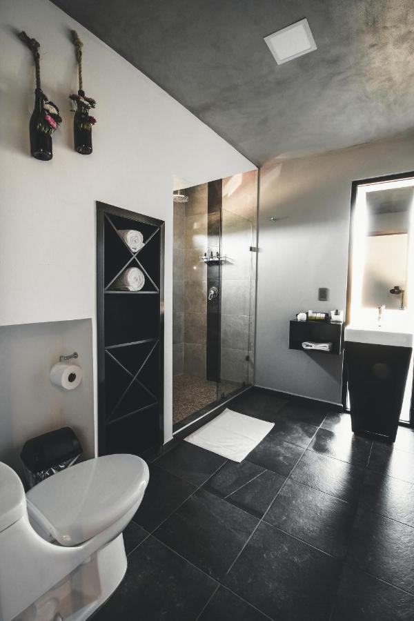 Origen75 Loft - Villas - Skypool - Vinedo, Valle De Guadalupe Kültér fotó