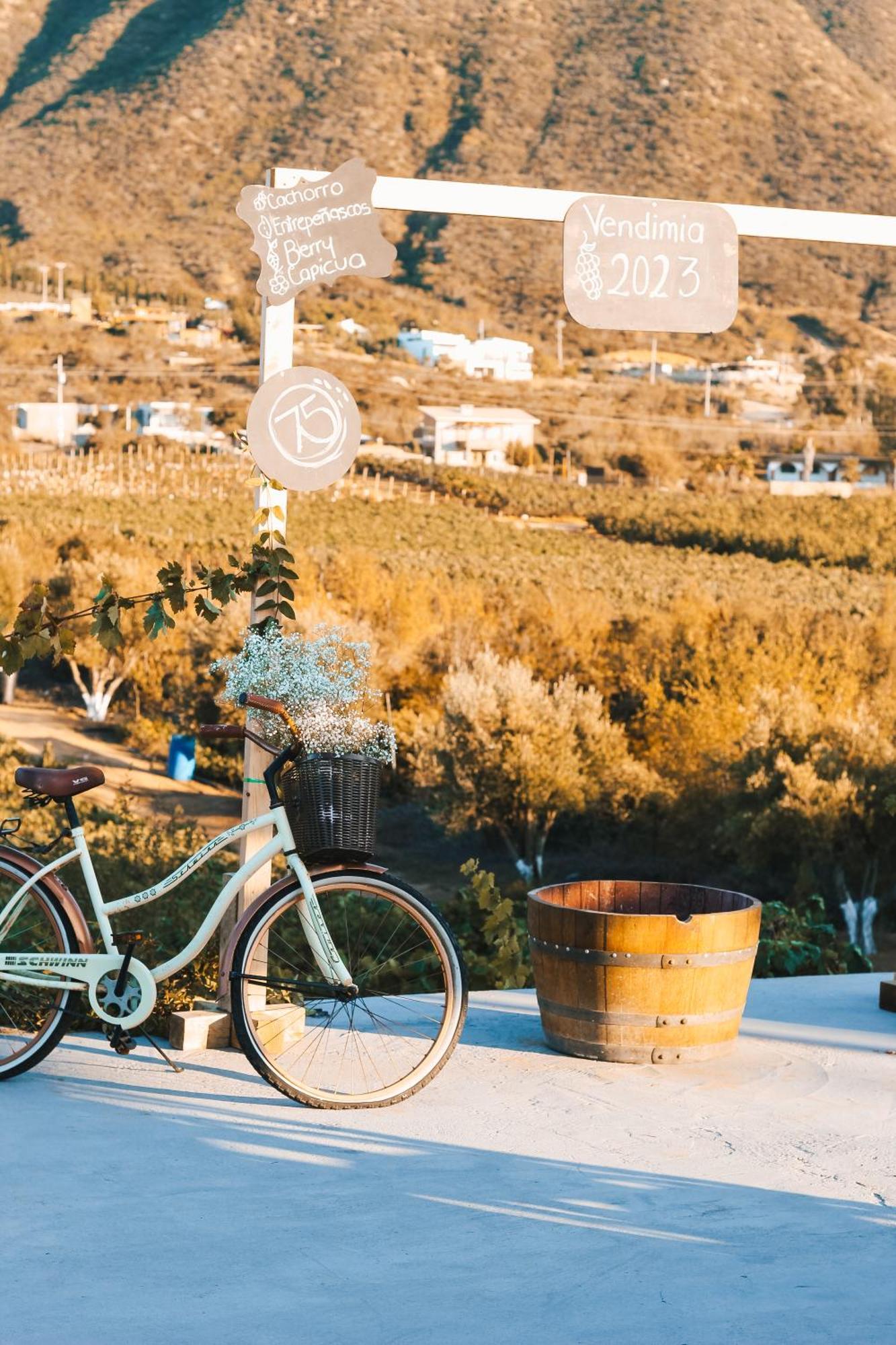 Origen75 Loft - Villas - Skypool - Vinedo, Valle De Guadalupe Kültér fotó